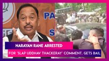 Narayan Rane Arrested For 'Slap Uddhav Thackeray' Comment, Gets Bail: Timeline Of Events