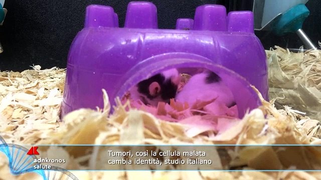 Salus Tv n.34 del 25 agosto 2021