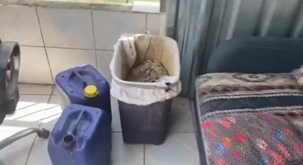 Son dakika haberleri | İSTANBUL'DAKİ OPERASYONLARDA ÇOK SAYIDA UYUŞTUCU ELE GEÇİRİLDİ