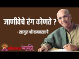 जाणीवेचे रंग कोणते ? Satguru Shri Wamanrao Pai | Jeevanvidya  | Lokmat Bhakti
