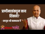 प्राणीमात्रांकडून काय शिकावे? What learn from animals? | Satguru Shri Wamanrao Pai | Lokmat Bhakti