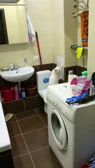 Noisy Kitty Bangs Away at Wall