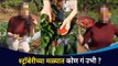 अभिनेत्री प्रिया बापट पोहचली स्ट्रॉबेरीच्या मळ्यात Priya Bapat in Strawberry Farm |Lokmat CNX Filmy