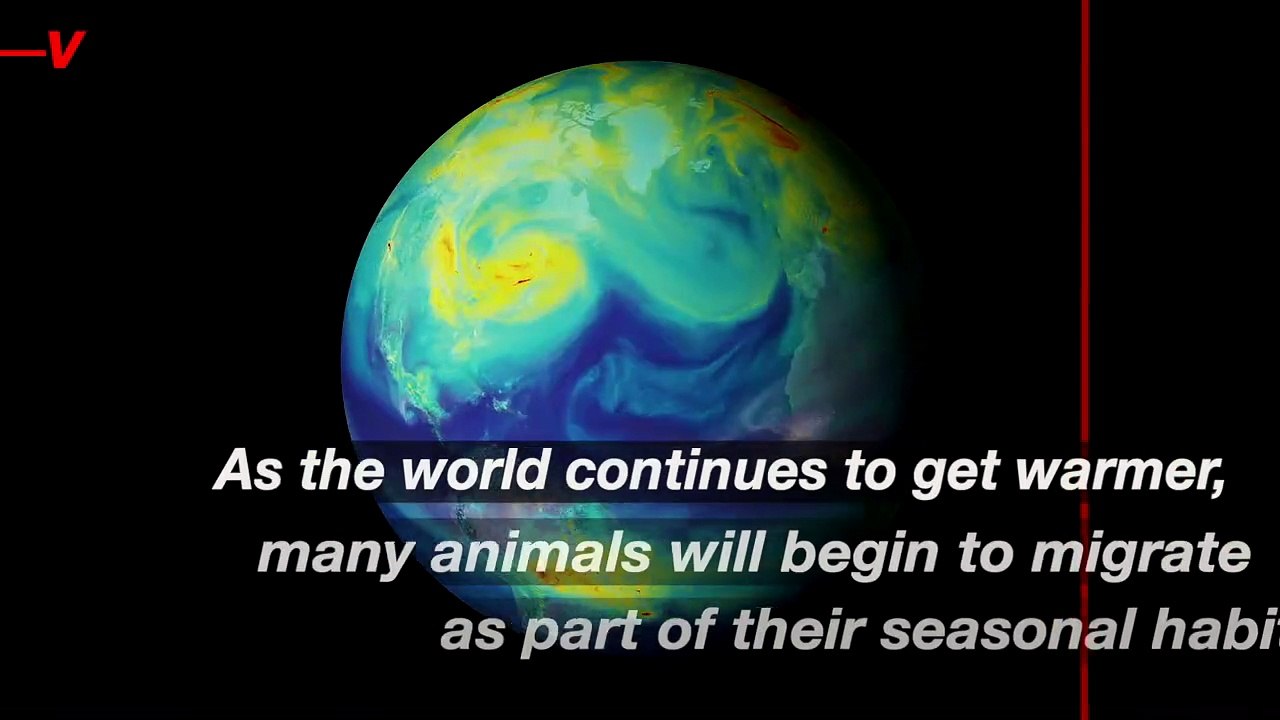 More Species Are Migrating Due to Global Warming, but Civilization Is Getting in the Way