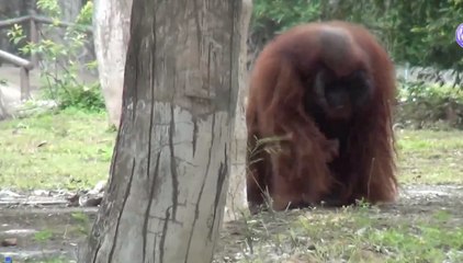 เรื่องพลบค่ำ ช่วงที่ 4 วันพุธที่ 25 ส.ค.64