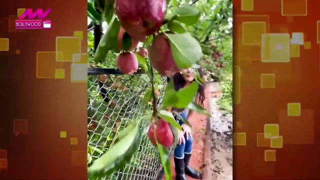 Preity Zinta shows her fans her apple orchards. NN Bollywood