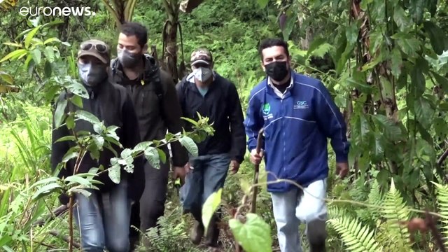 Galápagos forma y emplea a sus ciudadanos como científicos para atajar la crisis del turismo