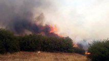 Manisa'nın Kula ilçesinde makilik alanda çıkan yangın ormana sıçradı