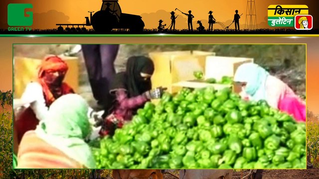 Now sugarcane farmers will get Rs 360 per quintal SAP In Punjab, Punjab Govt agreed on the rate of sugarcane after the meeting with the protesting farmers | Kisan Bulletin | Green TV