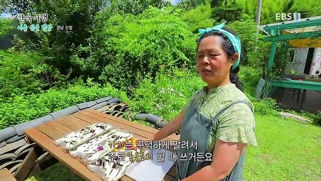 한국기행 - Korea travel_여름 산골 밥상 3부- 당신만을 위한 성찬_#002