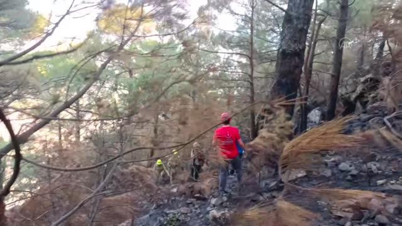 BALIKESİR - Kazdağları'ndaki yangın bölgesinde kayalıklardan düşen orman işletme şefi yaralandı