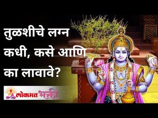 तुळशीचे लग्न कधी, कसे आणि का लावावे? Importance Of Tulsi Vivah? Lokmat Bhakti