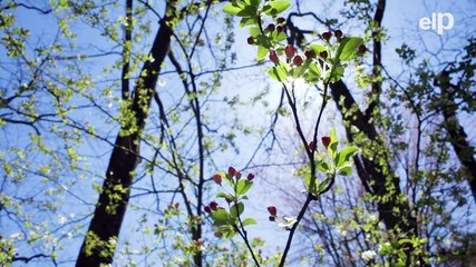 La radiación solar llegará a incrementarse 2.300 veces