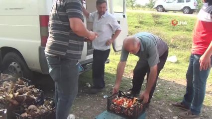 Sinop ormanlarında yetişen fesleğen ve yumurta mantarı köylülere ek gelir kapısı oldu