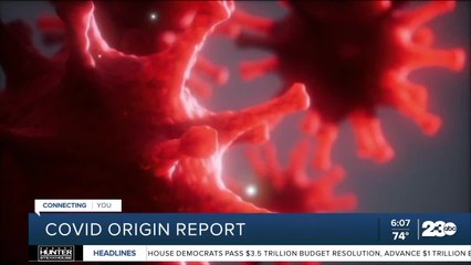 Report: Review of COVID origins inconclusive