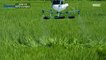 [HOT] drones also used in agriculture, MBC 다큐프라임 210825