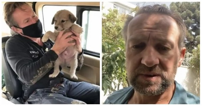 Un ancien soldat obtient l'autorisation du Royaume-Uni pour évacuer 200 chats et chiens de son refuge	de Kaboul