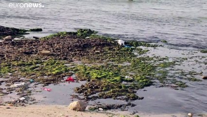A cause de la pollution de la mer, les Libyens de Tripoli vivent dans une "prison estivale"