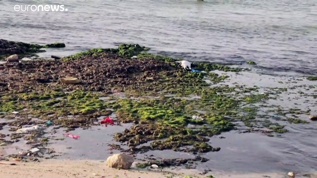 A cause de la pollution de la mer, les Libyens de Tripoli vivent dans une prison estivale