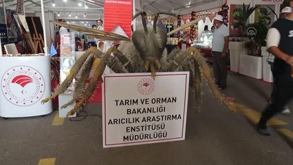 7. Tarım Hayvancılık ve Gıda Fuarı açıldı