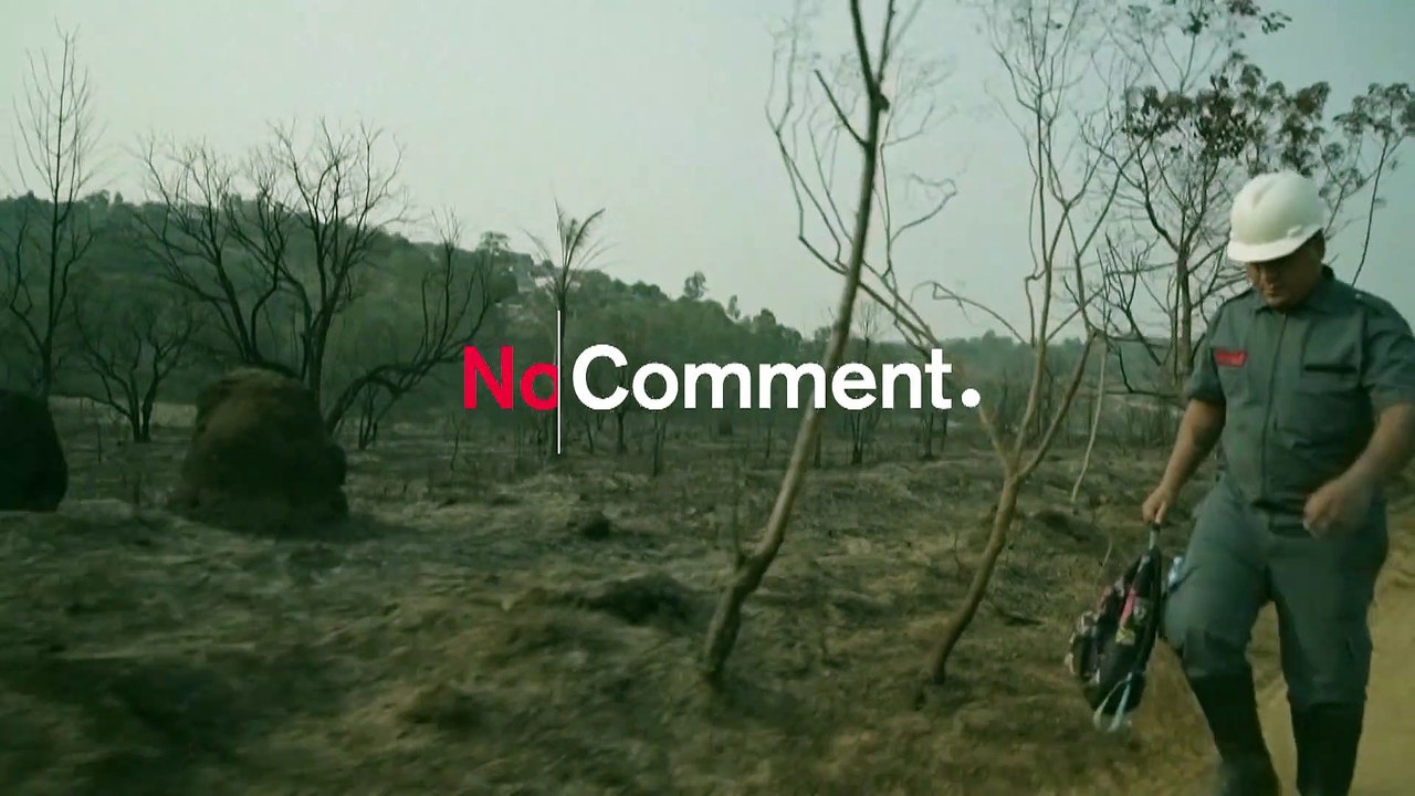 Naturschutzgebiet nahe Sao Paulo abgebrannt