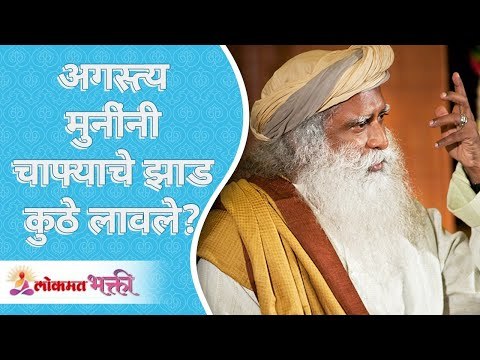 अगस्त्य मुनींनी चाफ्याचे झाड कुठे लावले? Where did the Aatsya muni plant the Chafa tree? Sadhguru