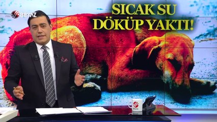 Beyaz Haber 25 Ağustos 2021