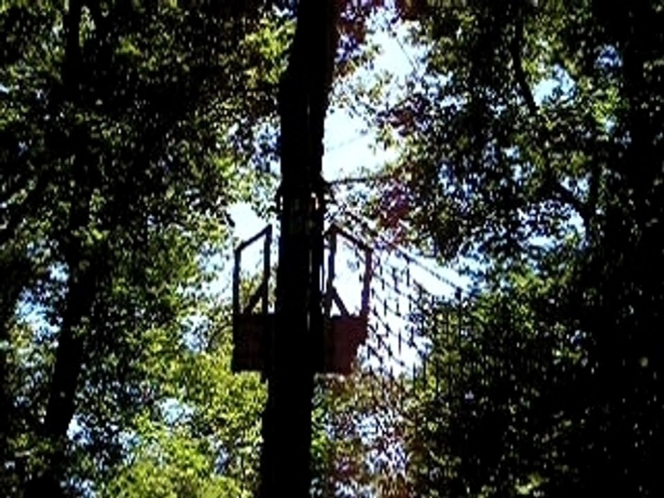 saut de tarzan