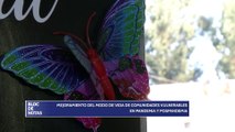 Mejoramiento del modo de vida de comunidades vulnerables en pandemia