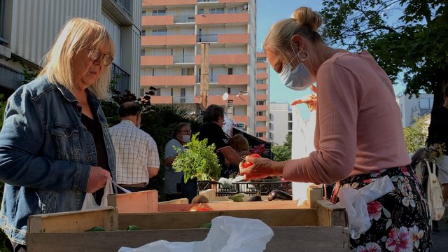 «Ca va partir vite !» : ces fruits et légumes bio à prix cassés du PCF ont du succès en Seine-Saint-Denis