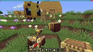 Minecraft Bees  are Here - How to Download Minecraft 1.15 Bees Update - Buzzy Bees