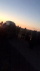 Hayvanları yolun karşısına geçirmek isteyen kız çocuğu tırın altında kalarak hayatını kaybetti