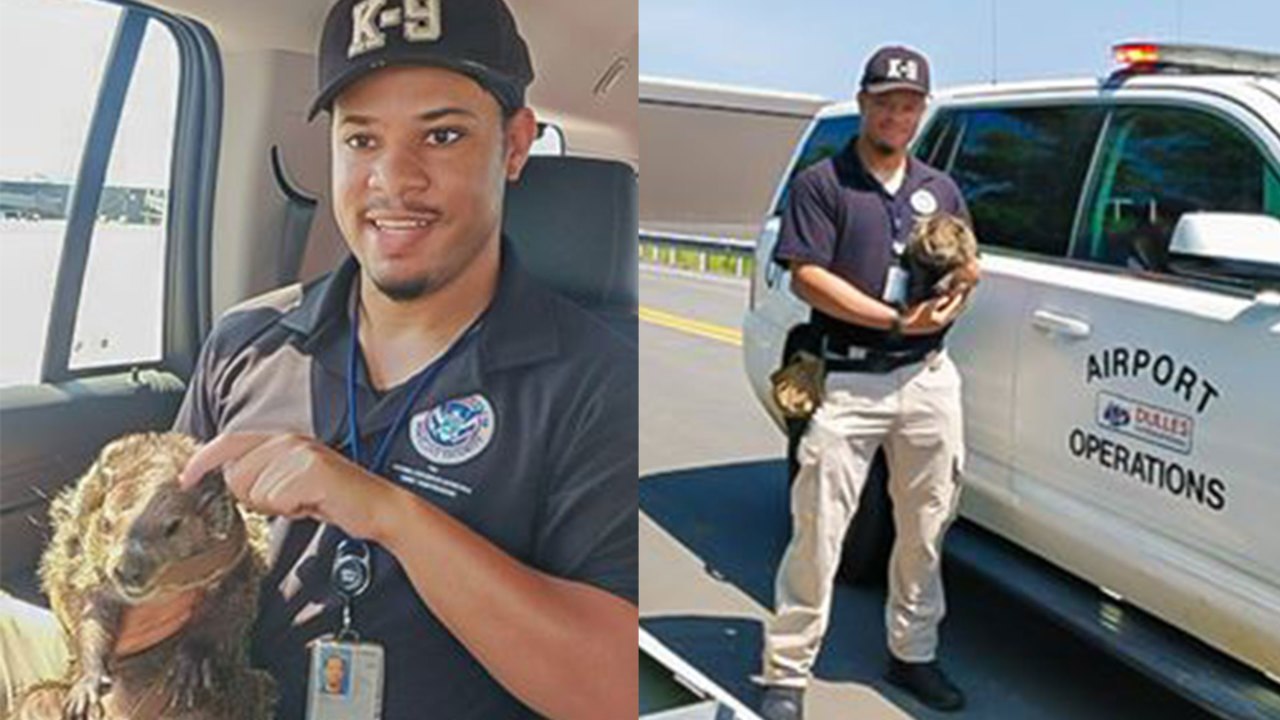 Virginia Airport Worker Dubbed "Groundhog Whisperer" After Unusual Runway Rescue
