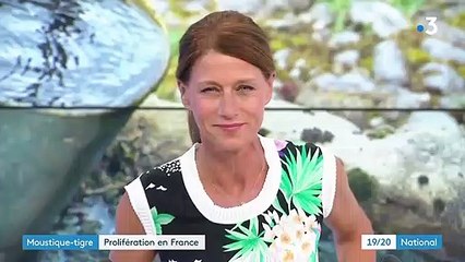 Environnement : le moustique tigre a proliféré en France cet été