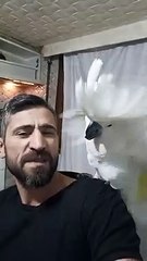 canavar bulut şarkı söylüyor