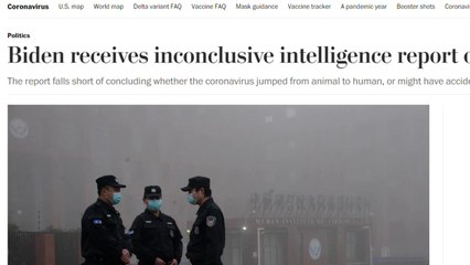 "美 정보당국 코로나19 기원 결론 못 내린 채 대통령 보고" / YTN