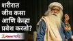 शरीरात जीव कसा आणि केव्हा प्रवेश करतो? How and when does life enter the body? Sadhguru Jaggi Vasudev