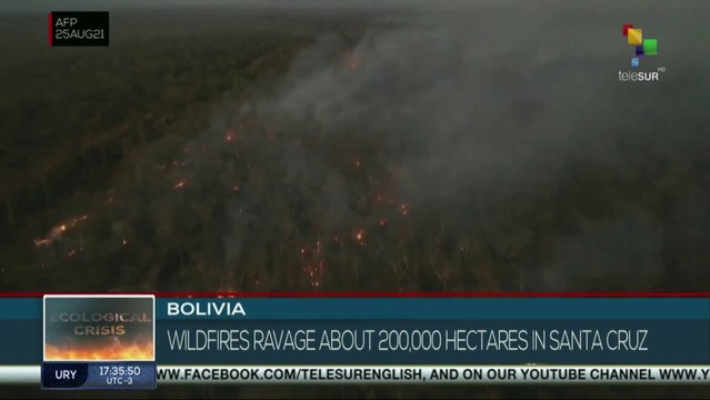 Bolivia: Wildfires ravage about 200,000 hectares in Santa Cruz
