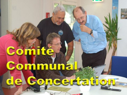 Comité communal de concertation | Auriol | Miquelly