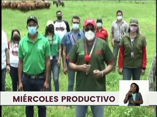 "Hato Cimarrón" recibe Certificación del Centro de Ganadería Senepol como libre de brucelosis