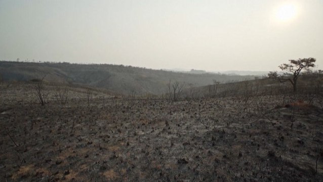 Wildfire turns more than half of a nature preserve into ash