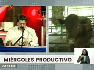 Min. Castro Soteldo: "Logramos la armonización de los protocolos fitosanitarios con países Árabes"