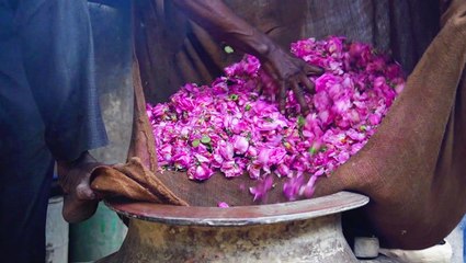 How India's traditional perfumers are recreating the smell of rain in their steam distilleries