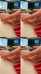 Fresh sashimi all fish