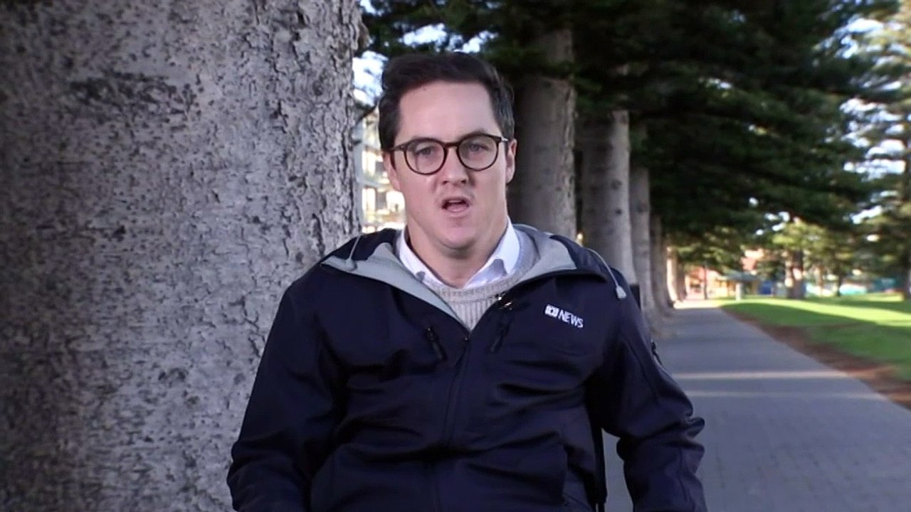 GRANITE ISLAND PENGUINS : Council pleads for urgent plant to protect penguins