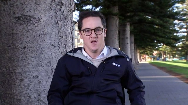 GRANITE ISLAND PENGUINS : Council pleads for urgent plant to protect penguins