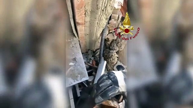 Crollo palazzina, salvo cane Ettore dopo 30 ore sotto macerie