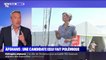 La candidate EELV Sandrine Rousseau s'explique après ses propos polémiques sur le contrôle des rapatriés afghans