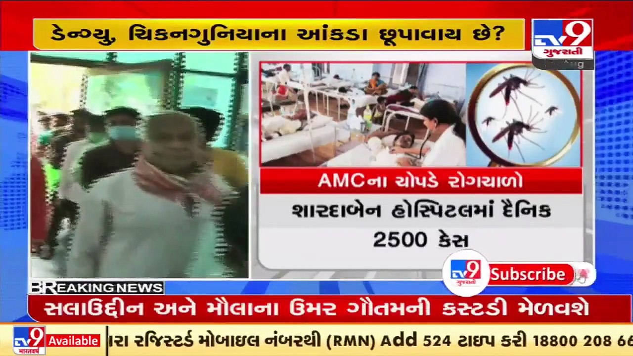 Mosquito-borne diseases on rise in Ahmedabad; AMC hiding actual figures _ TV9News