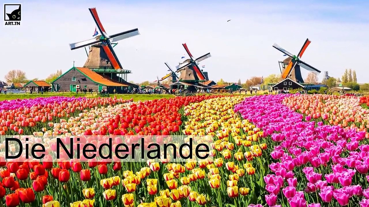 Die 5 glücklichsten Länder der Welt